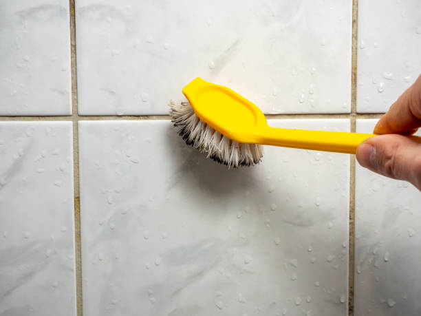 Certified Mold Removal in Indian Lake, TX
