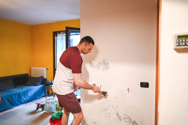 Best Emergency Mold Removal  in Indian Lake, TX